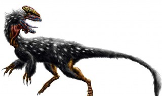 恐龙是鸟类进化而来的吗 什么恐龙进化成了鸟类