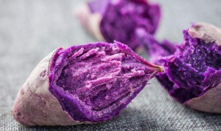 紫薯搭配什么作为早餐 紫薯搭配什么作为早餐好吃