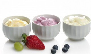 如何烤酸奶 烤酸奶怎么做好吃