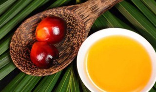 棕榈油是什么油呢 棕榈油是食用油吗