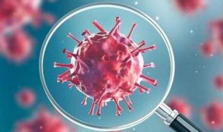 新型冠状病毒主要的传播途径是什么 新型冠状病毒的传播途径主要有什么