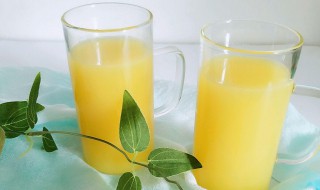 柠檬百香果茶的做法 百香果汁的做法