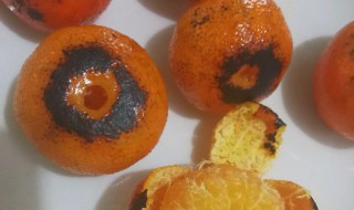 烤橘子方法 烤柑橘的做法