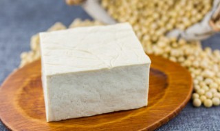 鲍汁豆腐烧青蒜的做法窍门 鲍汁豆腐烧青蒜的做法