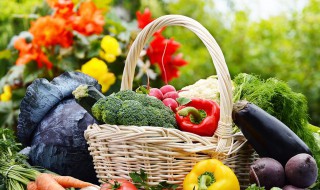 新鲜蔬菜的保管方法视频 新鲜蔬菜的保管方法