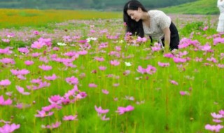 4月的花海哪里更美（四月份的花海）