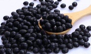 黑绿豆的功效与作用及食用方法 黑豆绿豆的功效与作用