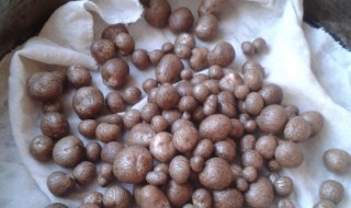 小山药豆怎么做好吃又简单 小山药豆怎么做好吃
