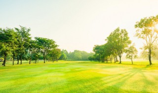 梦见风景怎么回事 梦见看风景是什么意思