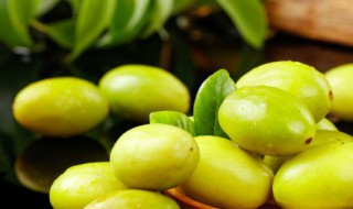 滇橄榄粉的功效与作用 滇橄榄粉的功效与作用及禁忌
