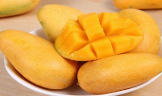家里买的芒果吃完种上能发芽吗 买的芒果吃完的种子可以种吗