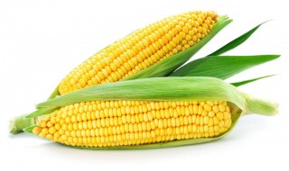 吃玉米到底会长胖还是能减肥 玉米不能和什么一起吃