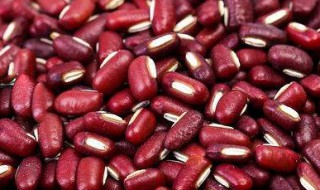 红豆不能和什么一起吃 红豆不能和10种食物一起吃