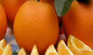 柑橘保花药什么时候打 柑子什么时候打保花保果
