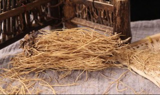 中草药的细辛草作用是什么 细辛草的功效与作用及禁忌