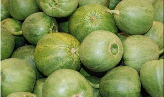 绿宝石香瓜怎么挑选 绿宝石香瓜怎么吃