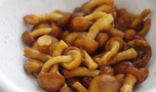 干锅滑子菇怎么做 干锅滑子菇怎么做最好吃