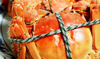 吃蟹的八种方法 吃蟹方法简单介绍