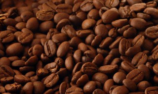 咖啡豆的最佳制作方法 咖啡豆的最佳制作方法视频