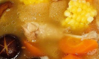 香菇竹荪炖鸭汤的做法窍门 竹荪可以跟香菇鸭肉一起煮吗