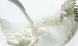 纯牛奶煮鸡蛋的正确方法 能不能往煮沸的牛奶里打鸡蛋