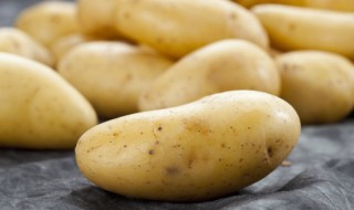 减肥可以吃土豆吗 减肥可以吃土豆当主食吗