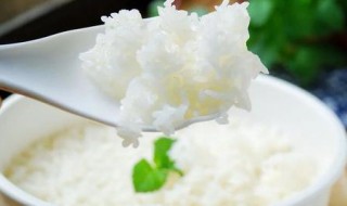 煮米饭放油起什么作用 煮米饭放油什么时候放