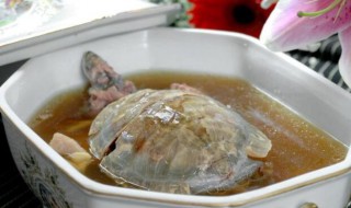 龟肉茯苓火锅 龟肉煲土茯苓