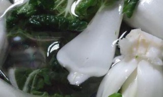 榛蘑焖奶白菜 榛蘑炖白菜的做法