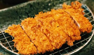 炸猪排寿司 日式炸猪排的菜丝