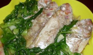 茼蒿煮海鱼 茼蒿和海鱼能一起吃吗
