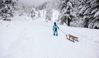 关于小雪的朋友圈语句 下小雪天发朋友圈的句子