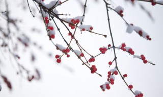 二十四节气小雪的含义（二十四节气小雪大雪的含义）