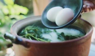 益母草煲鸡蛋的做法窍门 益母草煮鸡蛋做法