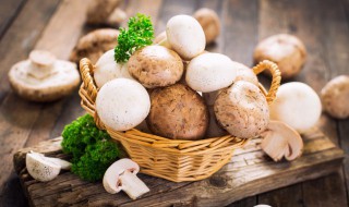 蘑菇和白菜能一起吃吗会中毒吗 蘑菇和白菜能一起吃吗