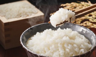 米饭蒸硬了还能再加水蒸吗视频 米饭蒸硬了还能再加水蒸吗