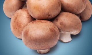 洋蘑菇的图片 洋蘑菇怎么吃