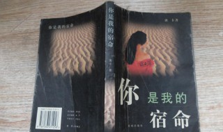 苏敏是主角的小说 苏敏是主角的小说