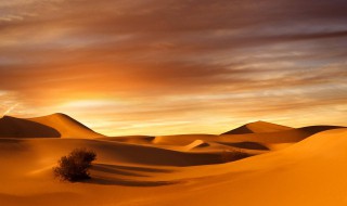 热带沙漠气候成因 热带沙漠气候特征