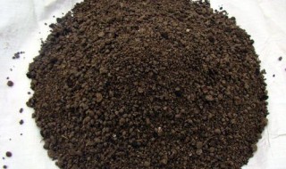 黑颗粒肥料怎么用 黑粒粒有机肥怎么使用