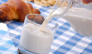 生牛乳有什么作用? 生牛乳的牛奶的功效与作用
