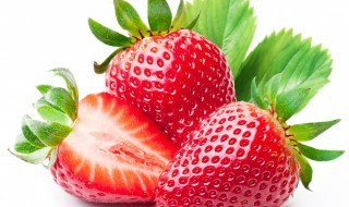 草莓的种植方法和技术 四季草莓的种植方法和技术