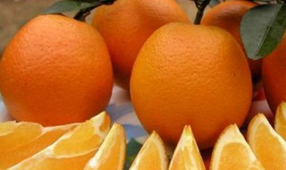 橙子怎么做的吃 橙子怎么做吃的