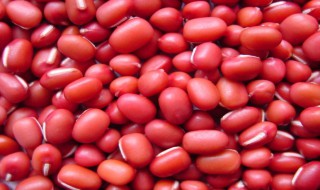 红豆和赤小豆有什么区别吗 红豆和赤小豆有什么区别吗图片