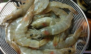 厄瓜多尔明虾营养价值 厄瓜多尔虾是海虾吗