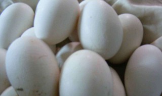 鹅蛋的营养价值表 鹅蛋的营养价值在哪里