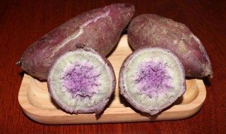 紫心红薯是不是紫薯? 紫心红薯有哪些品种