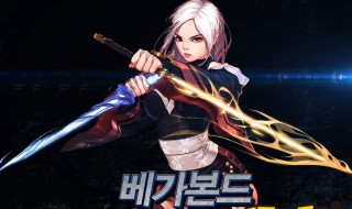 dnf流浪武士穿什么甲 dnf流浪武士穿什么甲好