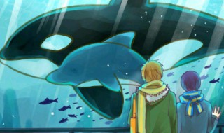 鲸鱼为什么对人类友好一些 鲸鱼为什么对人类友好