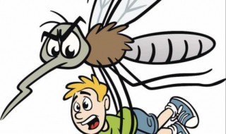 蚊子为什么喜欢在人的耳边嗡嗡作响呢? 蚊子为什么在耳边嗡嗡叫
